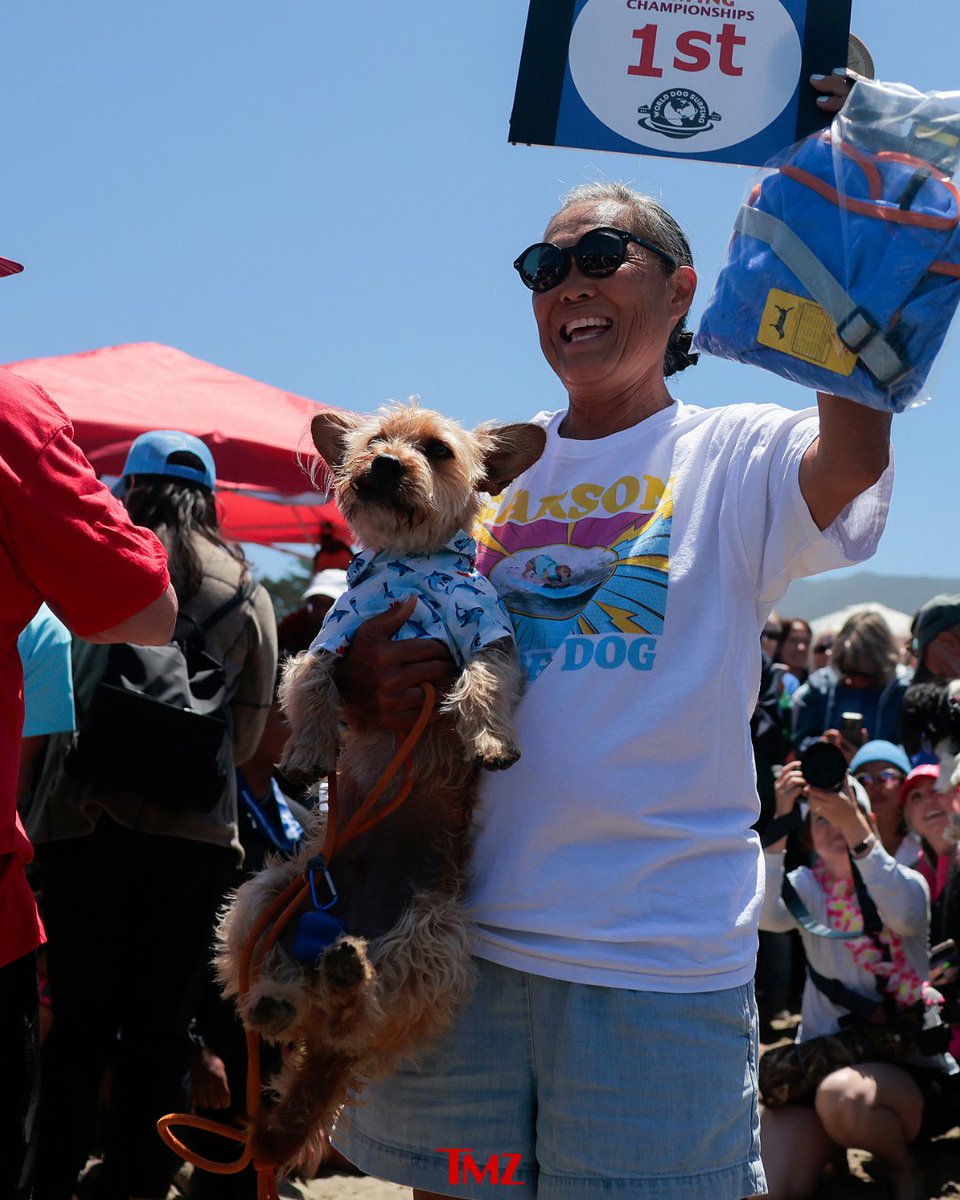 TMZ's tweet photo. Dogs from all over the world compete in the World Dog Surfing Championships in Pacifica, California. 🐕🌊 https://t.co/sSGVyQ3eSW