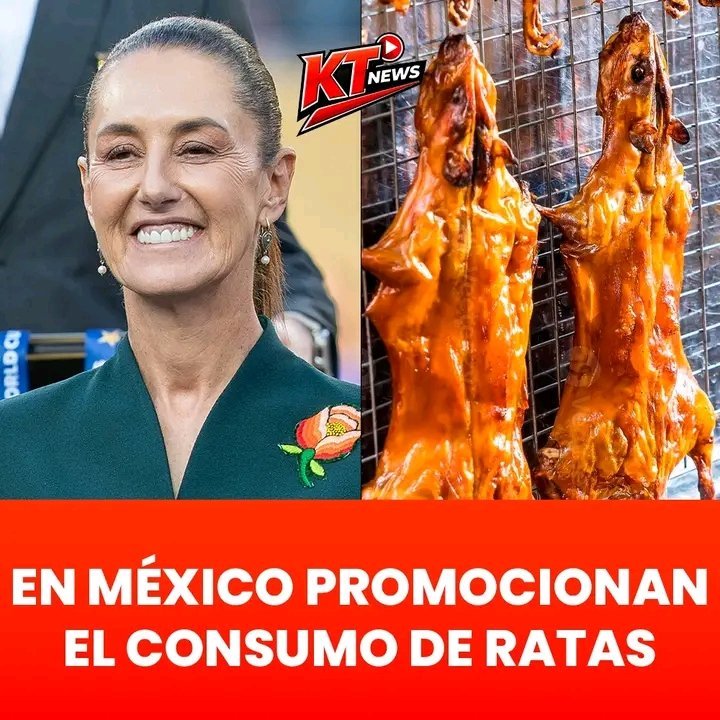 Jacpenina's tweet photo. @DONSARCASMO8521 @Joaconel https://t.co/eU0cehnp2Z