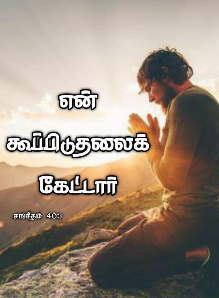 Gospels18's tweet photo. இன்றைய வேத வசனம் 📖👼 August04 #GospelsEverywhere #bible #todaysbibleverses #இன்றையவேதவசனம் #August04
இந்த வசனம் உங்கள் மனதிற்கு ஆறுதல் அளித்ததா? இது போன்ற தினசரி இறைவார்த்தைகளைப் பெற எங்களைப் Follow செய்யுங்கள். உங்கள் நண்பர்களுக்கும் பகிர்ந்து ஆசீர்வாதமாக இருங்கள்! https://t.co/6eR4GdpWmT