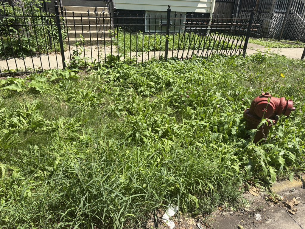 Chicago Flips Red tweet media