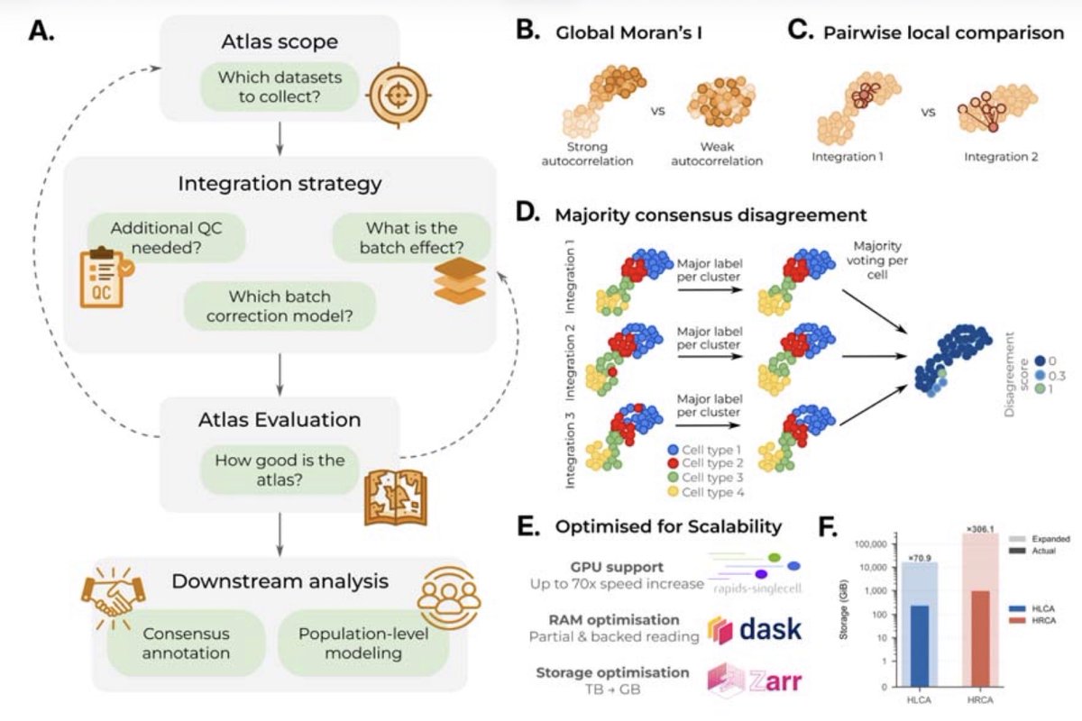 razoralign's tweet photo. scAtlasTb: Building optimized single-cell reference atlases https://t.co/G7JwKeMS9V https://t.co/4bfRewKlNU