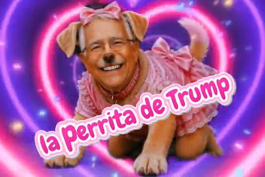 PGFanBoy's tweet photo. @RicardoBSalinas Así o más ardida #LaPerritaDeTrump 🤣🤣🤣🤣🤣🤣🤣🤣🤣el viejo guango y pendejo eres tú,  que creiste que lamiendole los tanates al #PG te iba a perdonar todo lo que le debes al fisco 🤣🤣🤣🤣🤣🤣🤣 https://t.co/KiWRxSPLDP