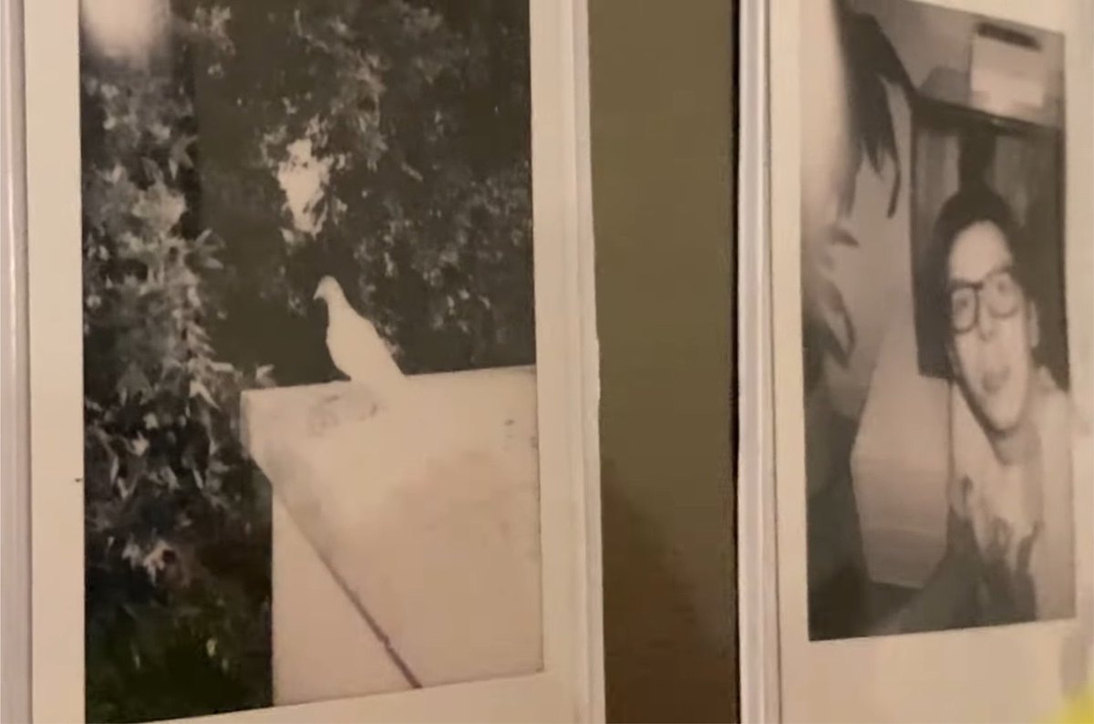 emophringe's tweet photo. steve and his dad :,) https://t.co/cGGWXlowYa