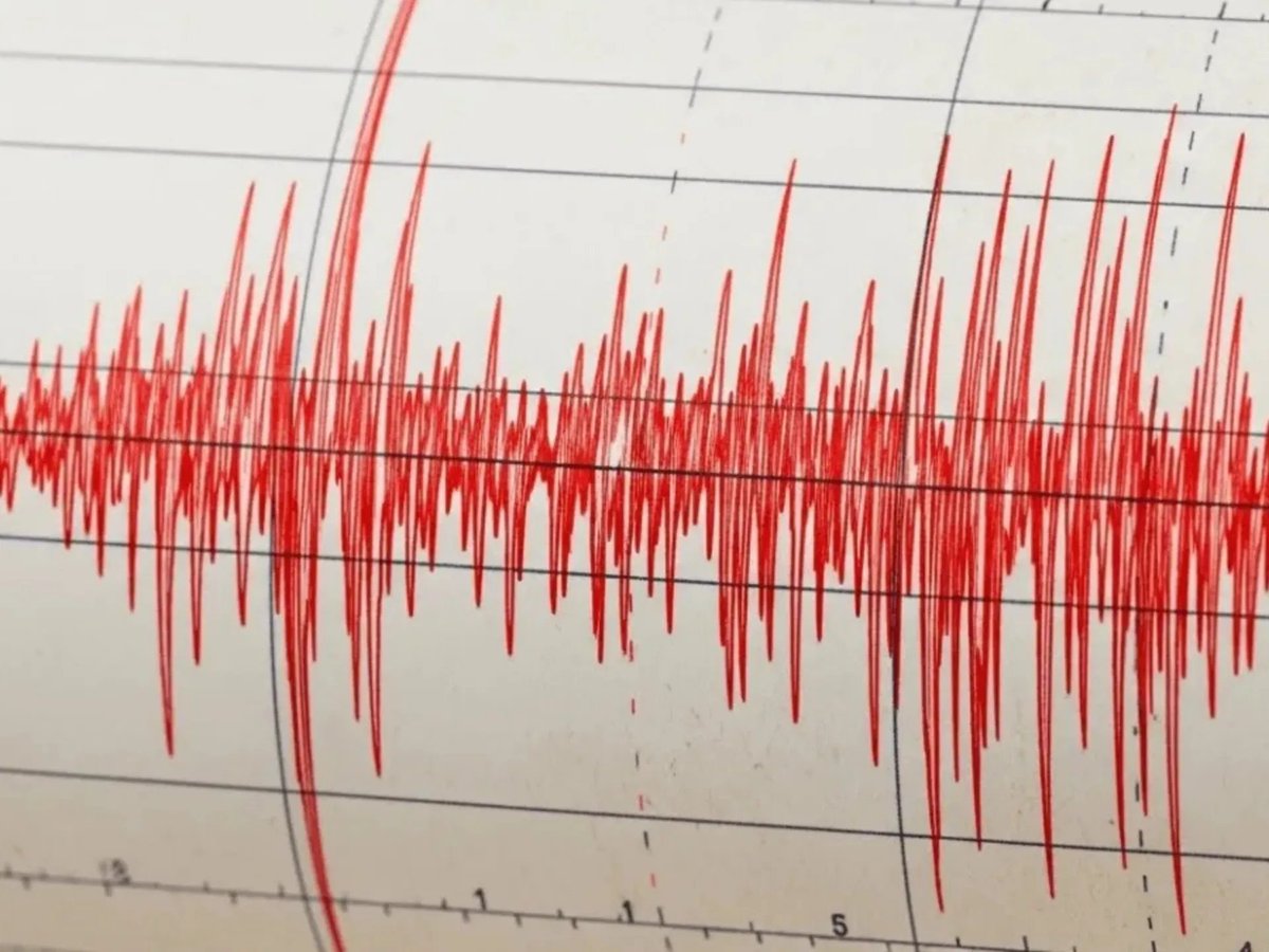 globovision's tweet photo. 🟡#EnNoticia | Un sismo de magnitud 3,4 se registra en una provincia amazónica de Ecuador

Un sismo de magnitud 3,4 se registró este lunes en la provincia ecuatoriana de Pastaza, en la región amazónica del país andino, sin que hasta el momento se haya informado de víctimas o daños materiales.

✍️EFE

#Globovisión #Internacionales