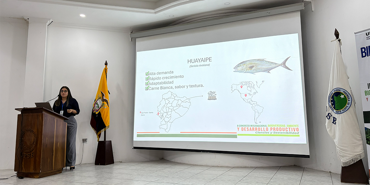 CENAIM_espol's tweet photo. 🌊La investigadora Melania Vargas #CENAIM, participó como ponente en el II Congreso Internacional Biodiversidad, Ambiente y Desarrollo Productivo: Ciencias y Sostenibilidad, #UPSE.
https://t.co/ECmlAdF8UF
#LíneadeDiversificación #Cultivodepecesmarinos #SeriolaRivoliana https://t.co/y6BZLFe44F