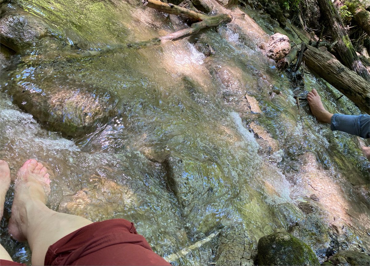 maikon_TM's tweet photo. 今日は14kmのハイク🥾
水が冷たくて気持ちよかったけど10秒が限界😵本当冷たい🧊 https://t.co/mfFKojo2um