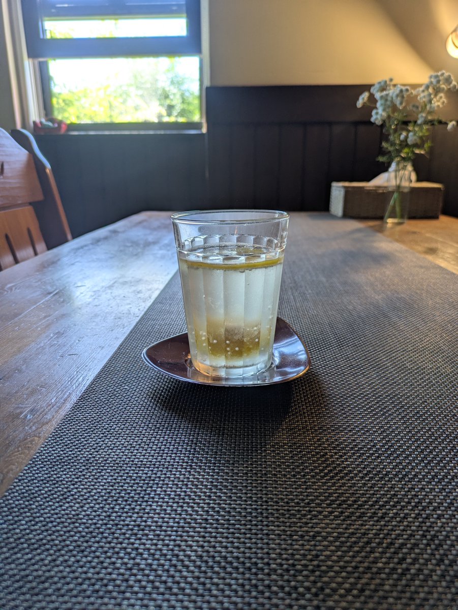 Kinouta2008's tweet photo. スズメバチの羽音が少し気になる大きさと近さ 
なので庭を弄りながら営巣場所を探すも成果無し😖
お手製ソーダ🥤を飲んだらもう一回見回り予定
経験上何処かに必ずあるはずなのです😅 https://t.co/lBfjMnOPiR