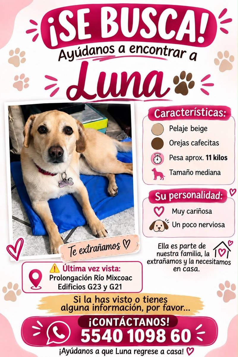U_PLATEROS's tweet photo. BUSCAN A LUNA. Extraviada en la sección G de la Unidad Plateros. Comparto con vecinos de @DenMerced_Gomez @MolinodeRosasDF @AlfonsoXIII_ @MascotasSismo Gracias por sus amables RT. https://t.co/VbFh21iLwS