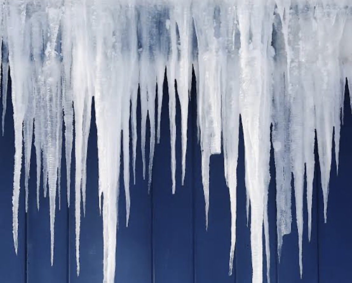 fayyfayyyth's tweet photo. @SmallerInTexas Public enemy number 2 (after own hunt) https://t.co/GeRmPCun8p