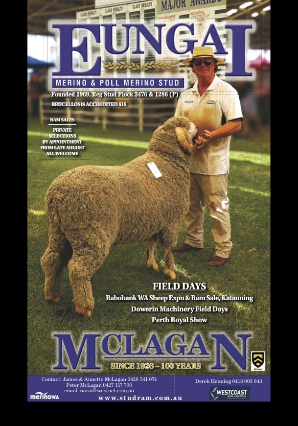studram100's tweet photo. This years sale rams are ready.  Poll and Merino rams at affordable prices.  Fully tested.  We are private selection only therefore pricing is better.  Try Eungai.
Selection from late August: Book in by phone or email. https://t.co/co947bI5Ke