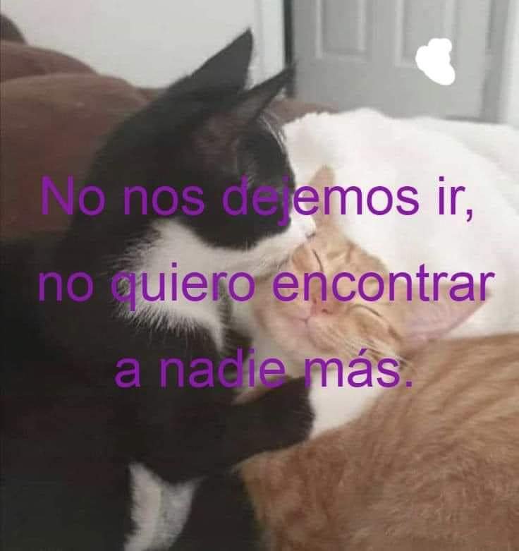 Mantequilla90's tweet photo. https://t.co/85nz4zUwP7