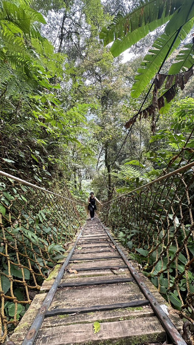Neptune_0526's tweet photo. akamsi main main ke curug. https://t.co/DoPM0CpiD4
