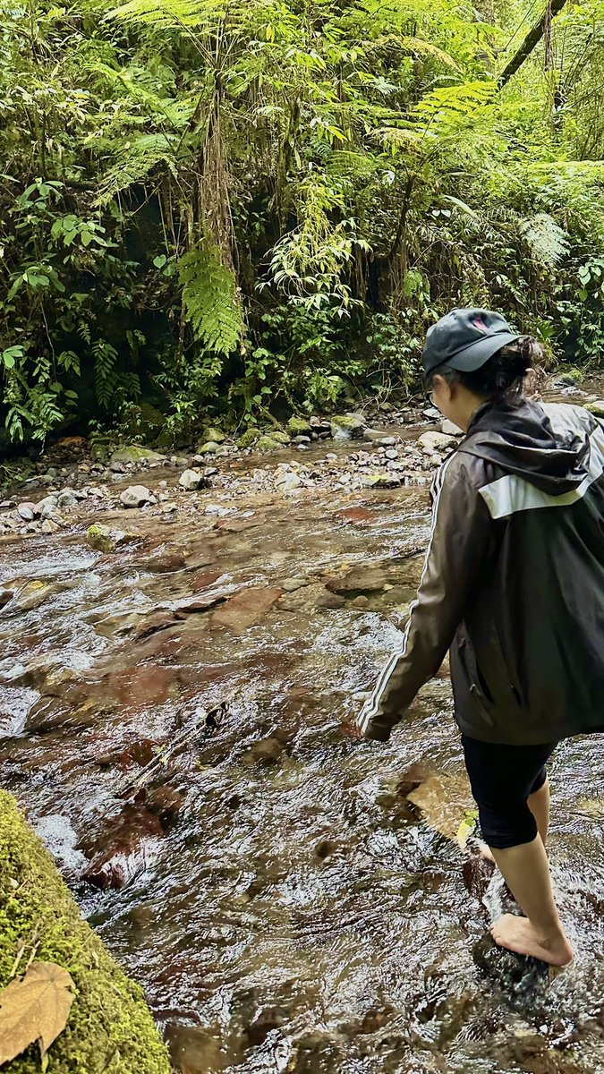 Neptune_0526's tweet photo. akamsi main main ke curug. https://t.co/DoPM0CpiD4