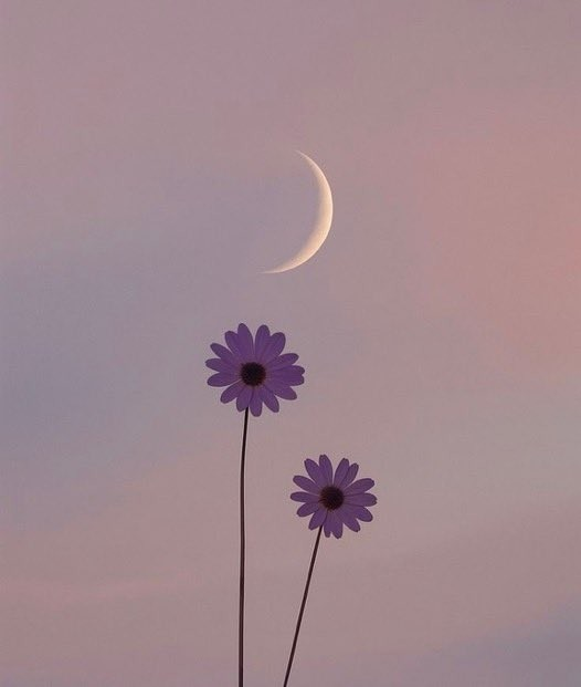 Emma238c's tweet photo. Even the darkest night will end and the sun will rise. https://t.co/slIoXaMSog