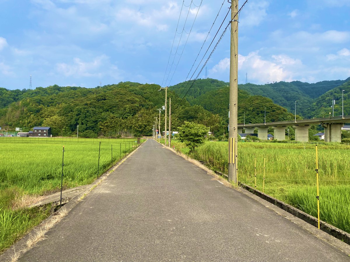 yumenotobira_A's tweet photo. 田舎の夏からしか得られない栄養素がある https://t.co/xpuFibfEJI