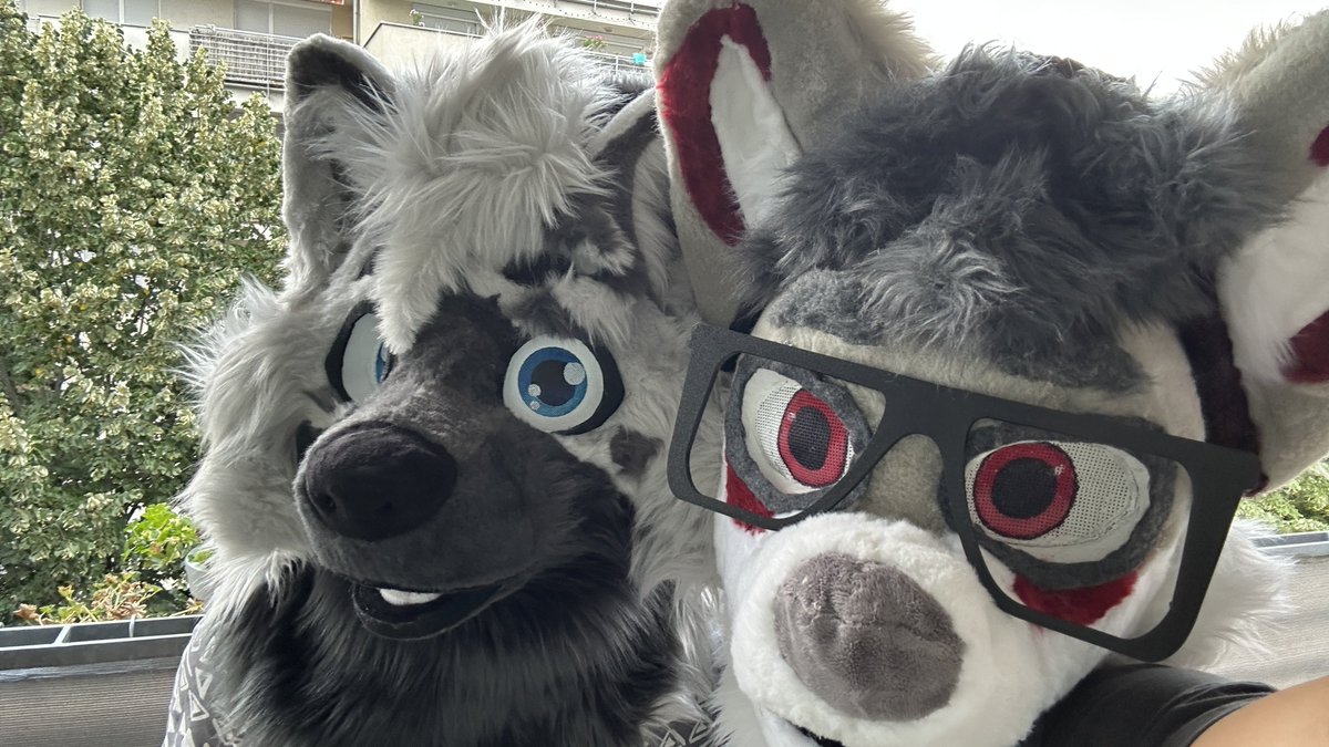 GorbendM's tweet photo. I found a cute wuff at Awoostria so I took him home. Adorable creatures are free to keep it seems :3

@RickyRad7 https://t.co/ZfrhDq2ZqM