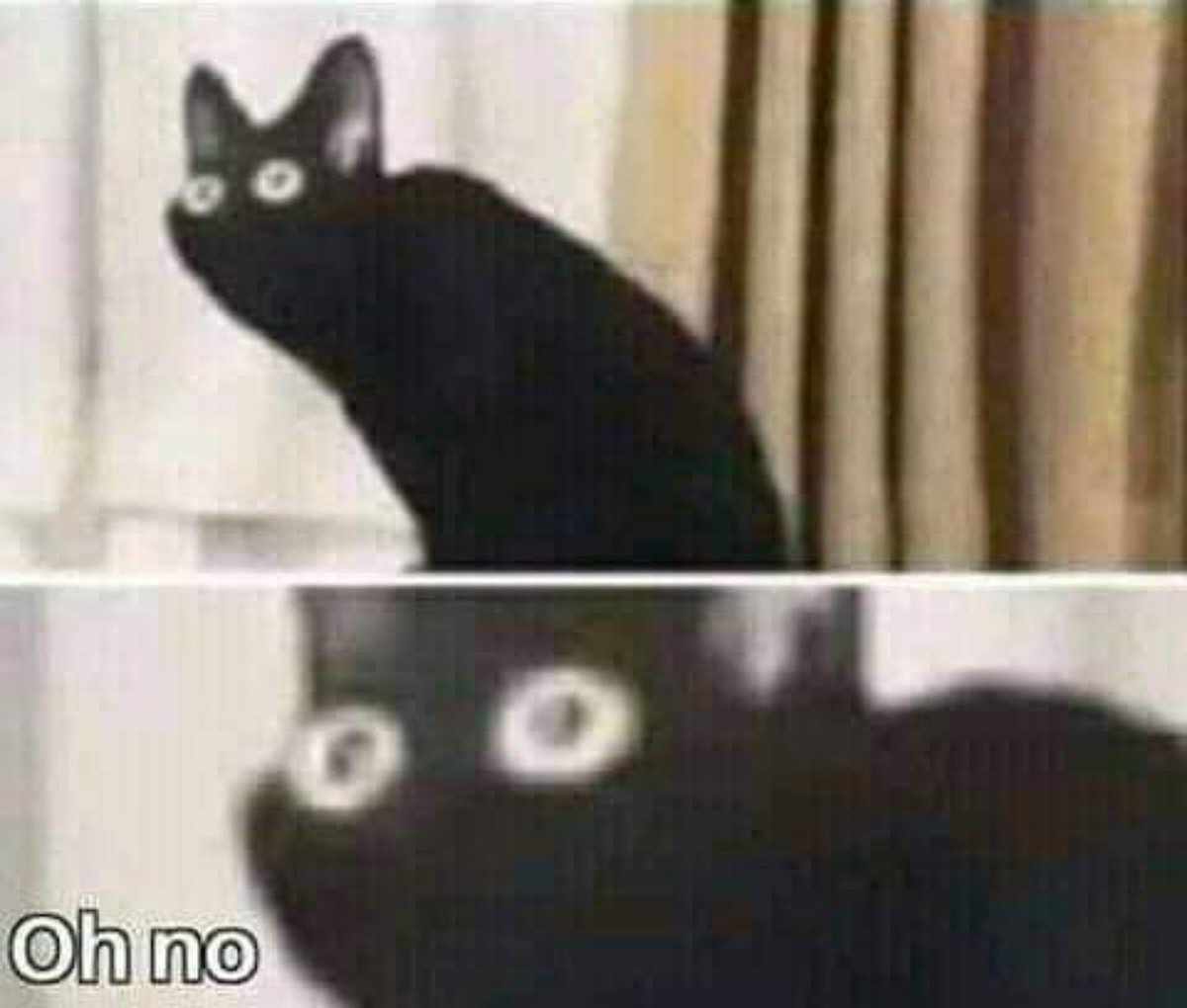 Sr_X089's tweet photo. @vaciovack Batman:¿!!!QUIÉN UTILIZÓ  LA CRIPTONITA ROSA¡¡¡? https://t.co/H9US5bCKDi