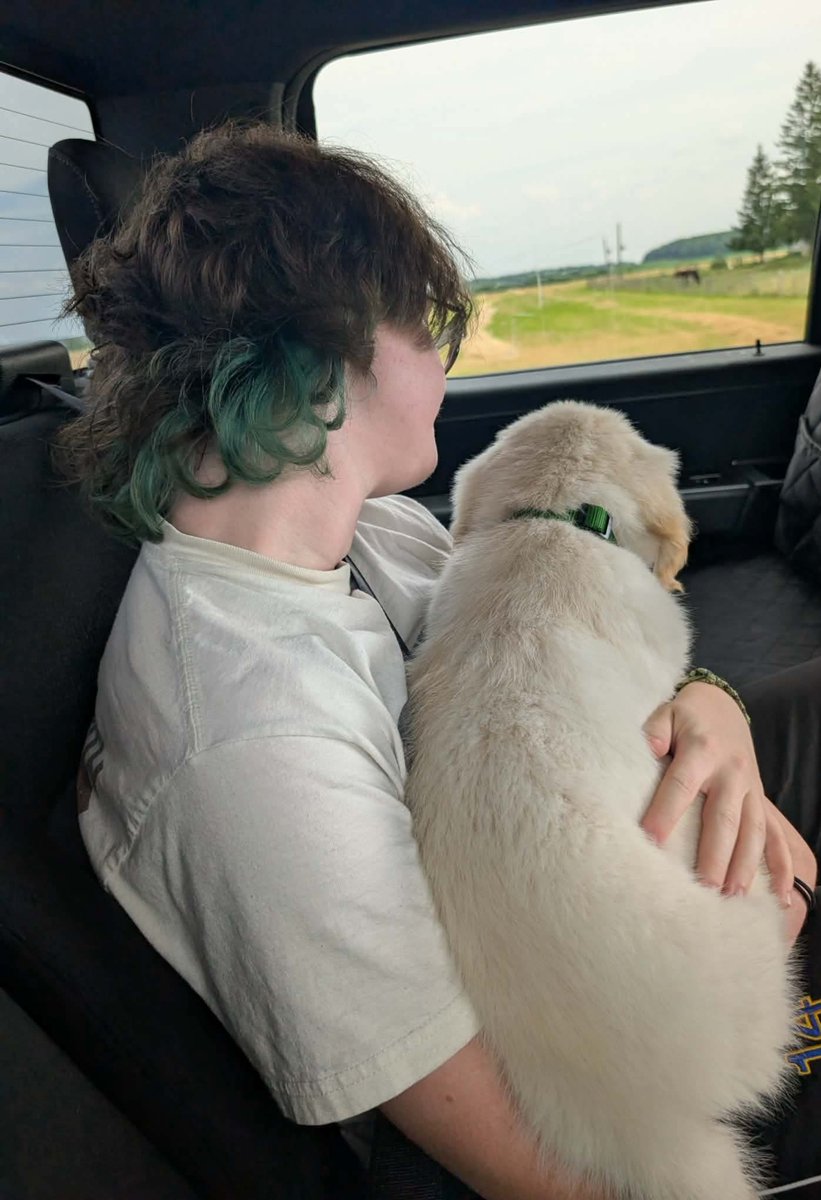RoryyPollie's tweet photo. They've cloned my first boy😭 https://t.co/UEvAzSxJSx