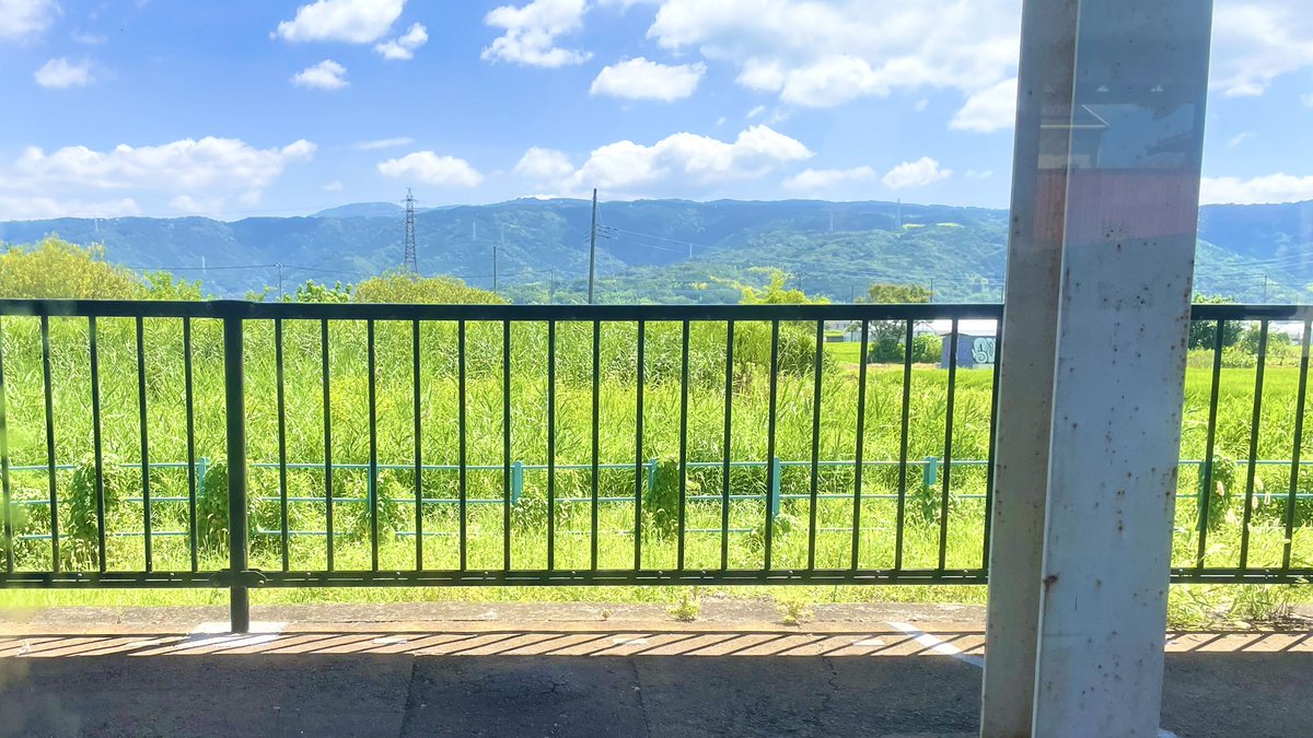 yny_chon's tweet photo. 夏すぎる https://t.co/vEHdgAG3ZH