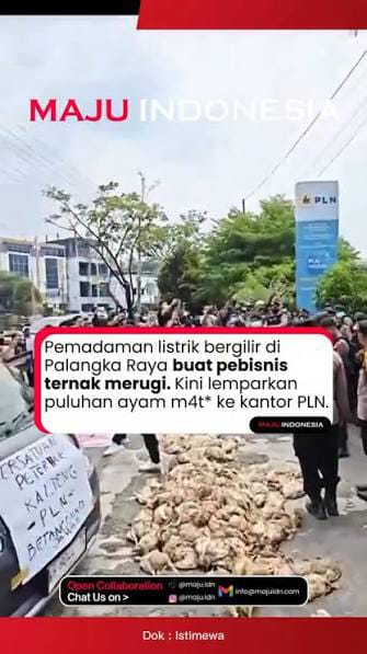 rimafebby's tweet photo. Semoga ada komunikasi yang lebih baik antara pihak terkait dengan warga yang terdampak. Protes Pemadaman Listrik semoga membawa perubahan.
#KritikTerhadapPLN #DampakPadamListrik #DemoPeternakAyam https://t.co/ZDVTz6PbuC