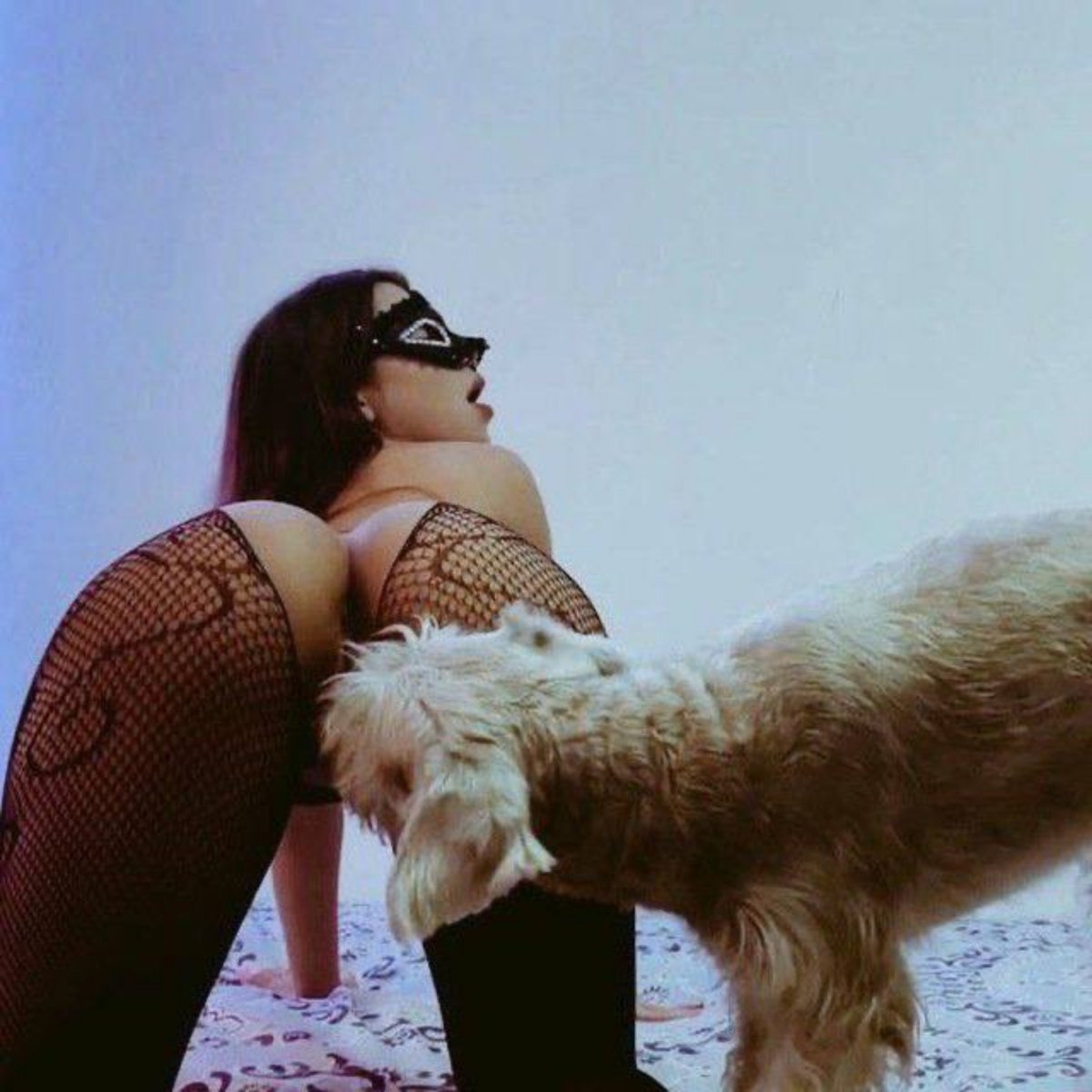 PrettyPawPrin's tweet photo. Every smile on my face starts with a wagging tail and a happy pup 🐾💕 Subscribe and enjoy every adventure with us

https://t.co/tDsPQVZq3X https://t.co/StuZH8roiU