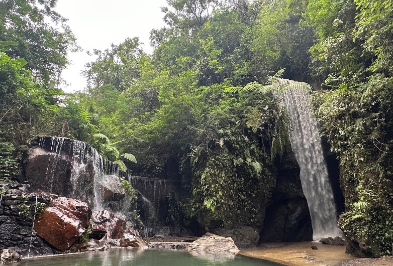 balisuthatravel's tweet photo. Looking for Baliβs ultimate hidden canyon experience? Meet Goa Raja Waterfall: a breathtaking subterranean masterpiece located in Jehem Village, Bangli! π΄π Hereβs why it belongs on your Bali bucket list π #BaliTours #GoaRaja #ExploreBali https://t.co/NN5cQPKgkQ