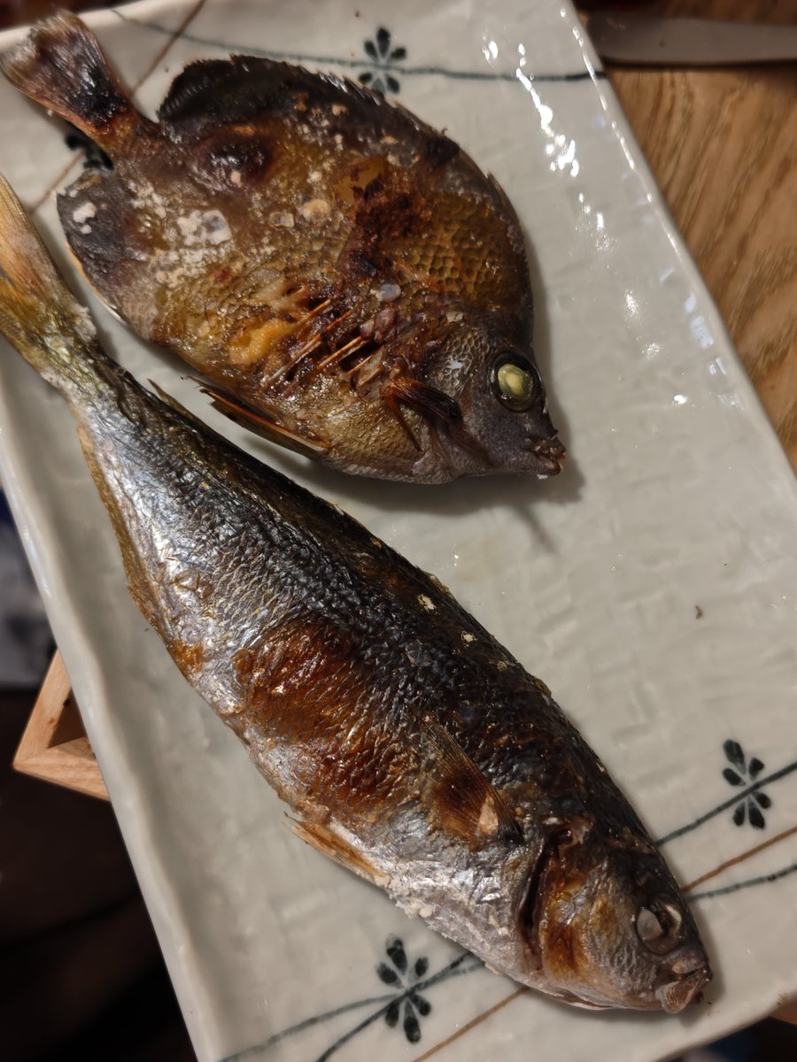 redkidneybeans's tweet photo. チョウチョウウオとタカベの塩焼き https://t.co/Dfi9l4nRtA