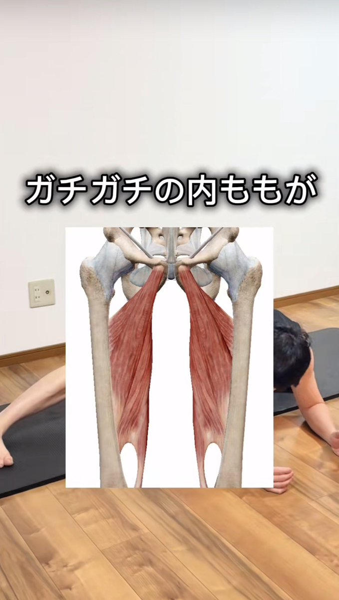 hosoi_seigi's tweet photo. 理学療法士がこっそり教えるストレッチ。ガチガチの内ももがほぐれて姿勢まで綺麗になる。まんまる猫背ちゃんはやってみろw https://t.co/9HFpWpBleJ
