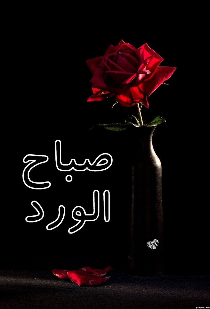 salem__103's tweet photo. https://t.co/Emr6zAuzwm