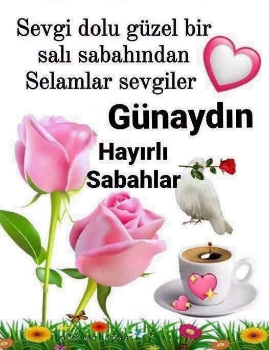alosmanozcan's tweet photo. @3408Meryem Günaydın 
Hayırlı Sabahlar olsun 
İnşallahhhhhhhhhhhhh https://t.co/ECdhs0kDFx