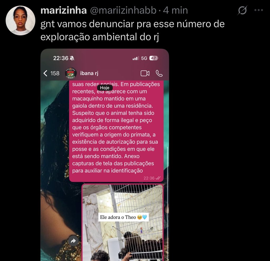 kaarolzx's tweet photo. Canal oficial de denúncias de crimes ambientais no Rio de Janeiro (onde ela mora) pra denunciar 

Vinculem o print do stories e informem sobre a suposta compra do macaco de forma ilegal, além dele permanecer em uma gaiola minúscula  

WhatsApp: 21 98411 1428

Leva um minuto! https://t.co/uTp9rLEDYx