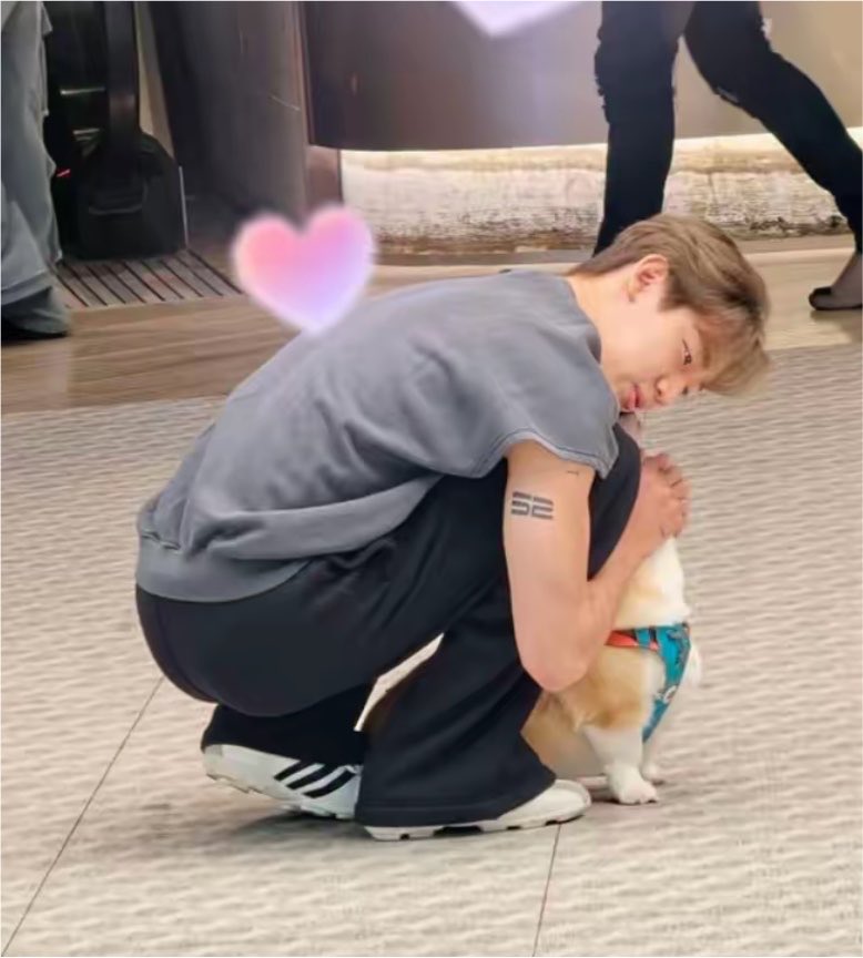 merainbow93's tweet photo. อ้วนนนน ต้องโฟกัสอะไรก่อนระหว่างน้องแบมเอาแก้มเบียดน้องหมา กับน้องหมาที่เป็นงานเชิดหน้าสู้ น่ารักอะฮือออ กลมทั้งหมาทั้งคน 🥺🐶🤏🏻

#BamBam @BamBam1A https://t.co/FCBnW22gH8