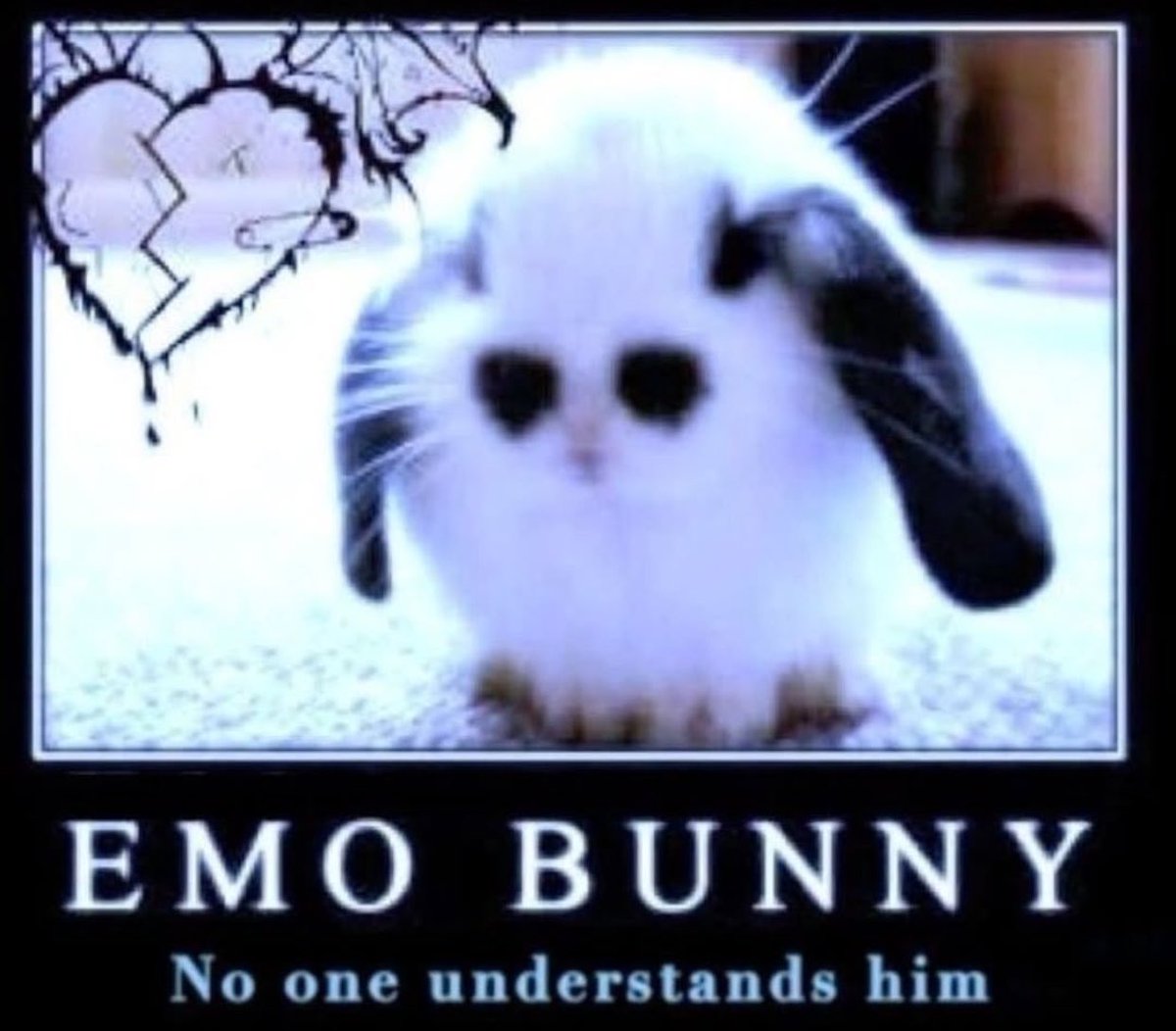 bunnyposting_'s tweet photo. 💔💔 https://t.co/OIiBPftqSP