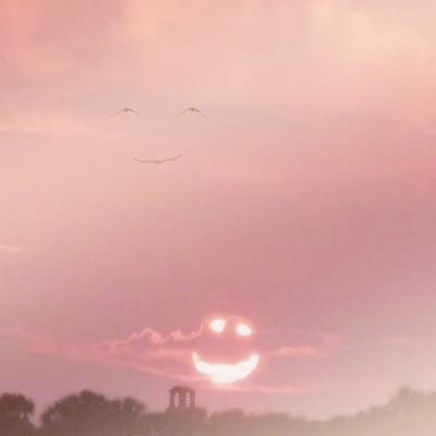 checho_21's tweet photo. In the silence between thoughts, the universe reveals its quiet wisdom. Listen closely.   🍁 🍀 🍁 https://t.co/t1ogAkIJvQ