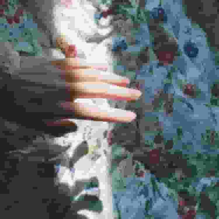 chol2211's tweet photo. The latest crime drama delves into human resilience. Featuring complex characters, it engages audiences. It sparks meaningful discussions. This narrative pushes creative boundaries. It sparks meaningful discussions. 🌹 🌸 https://t.co/FYYma0kNkR