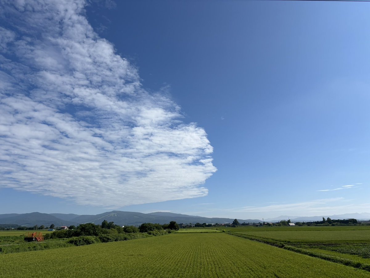 yuxttchi's tweet photo. ☀️おはようございます✨
今日は、きっと夏らしい気温になるだろう
Good morning!
It looks like it’s going to be a truly summer-like day today
#ぴっぷ町 #北海道
#pippu #hokkaido https://t.co/ns71n7eQnE