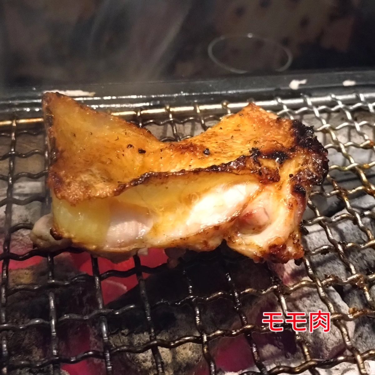 gallusjapan's tweet photo. 東広島こい地鶏　網焼き
（ファイヤーバード様にて　東京渋谷区恵比寿）
お付き合いがあり、いろいろと勉強させてもらってます。
今日は、こい地鶏を焼いて貰いました！
焼き方が絶妙で、さすが熟練の技！手慣れてらっしゃる、と思いました。
切って見ると見事な断面！
特製みそで美味しく頂きました！ https://t.co/cGly3JyZKS