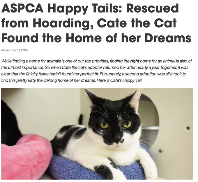 Viruscoinpf's tweet photo. WE GOT A CAT NAMED CATE IN NEED OF HELP WITH CHARITY ON PUMP

Cate is at 50M right now and dipped to 10M, everyone is confused whether to fomo or fud, nothing is certain.    

But there is something for certain, we have a REAL cat named Cate with a charity on pump, we can easily link fees and support Cate, such a genny opportunity.

https://t.co/AVYdcvRGSs