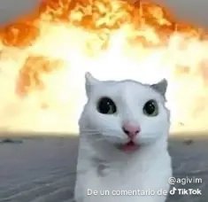 charred_chops's tweet photo. @yaoilover_72 Dw https://t.co/0xnseSNACQ