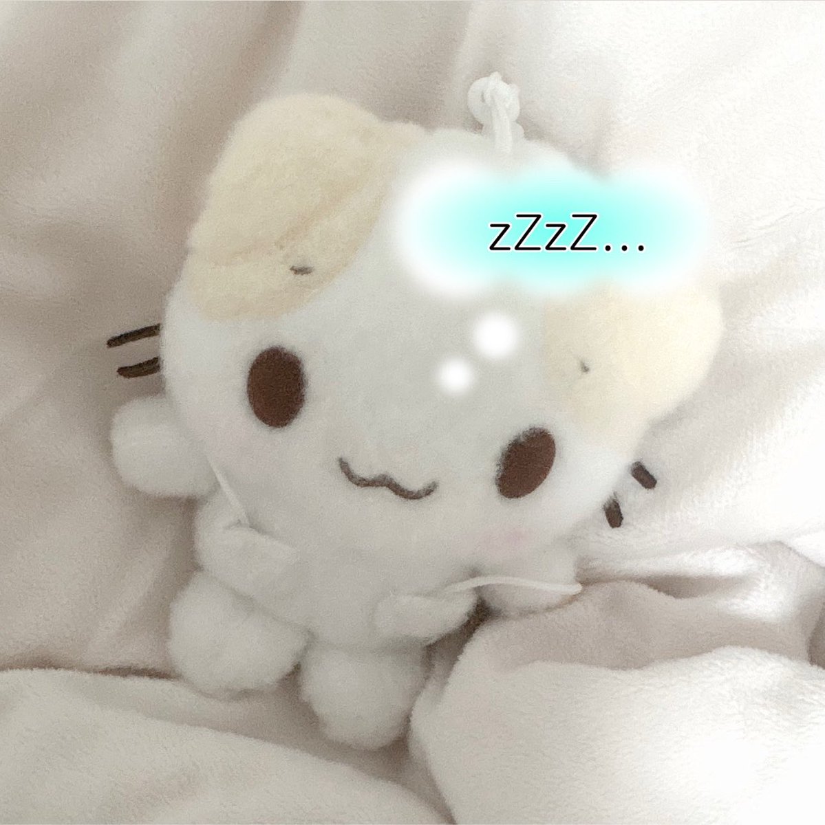 fill_rog's tweet photo. 고데기 외에 헤어스타일링 이라는 거 생전 처음 해본 날이었어.. https://t.co/DGYscC2ZeA