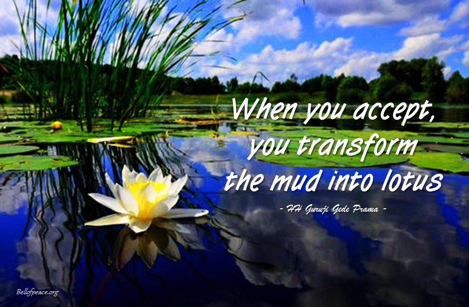gede_prama's tweet photo. When you accept... #bali #love #peace #meditation #JoyTrain
https://t.co/w45WpLfhlg
Photo courtesy: Pinterest https://t.co/AnHlioiHTe