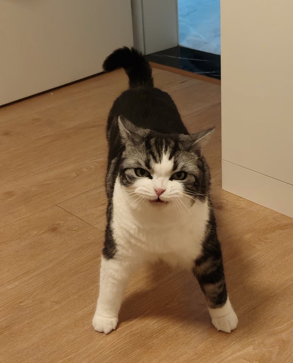 twaniimals's tweet photo. https://t.co/cm4AAsnfuh