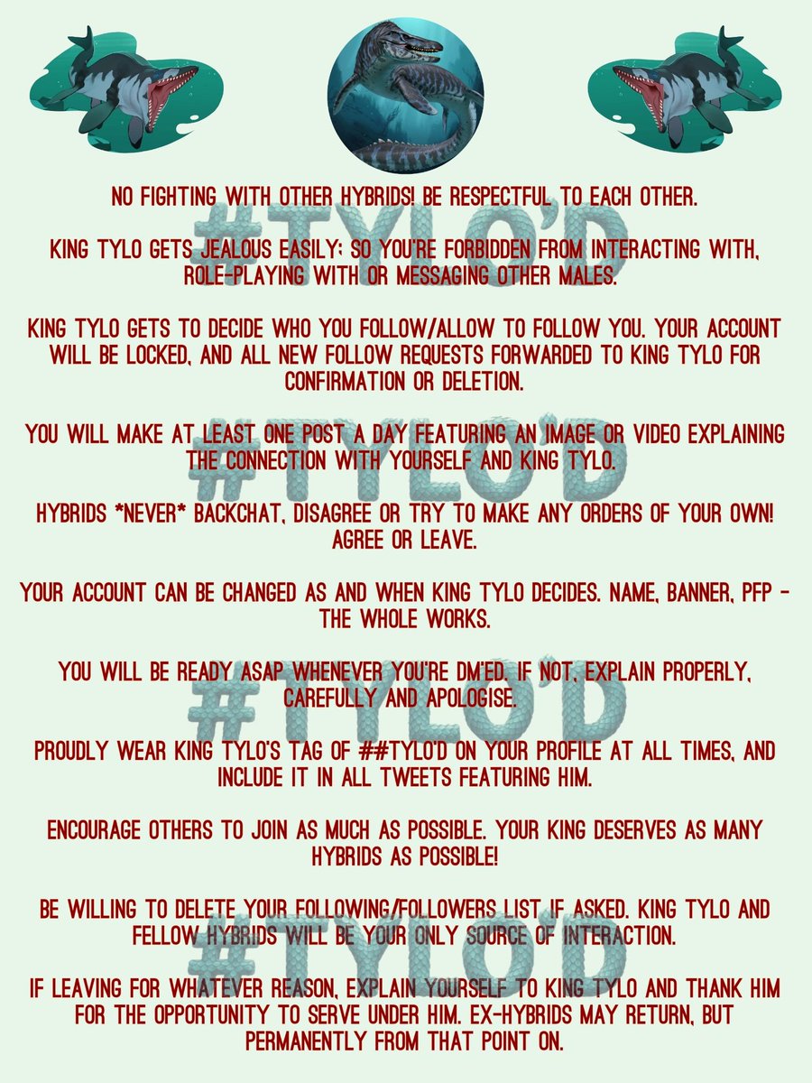 PrehistoricK1ng's tweet photo. Rules for being #Tylo'd https://t.co/qnVu9sWvtV