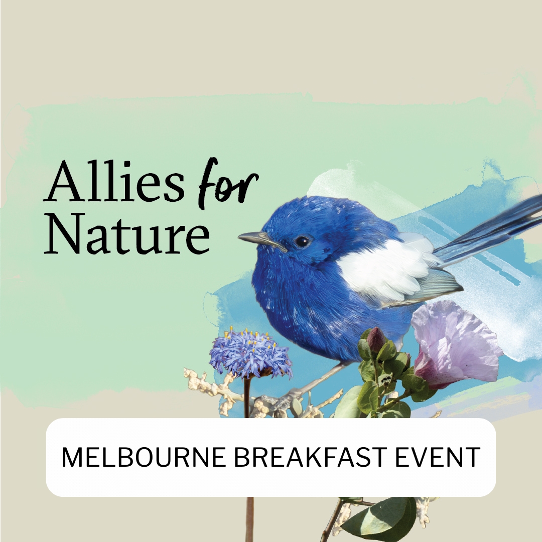 BushHeritageAus's tweet photo. 🌿Join Bush Heritage in Melbourne for our Allies for Nature breakfast. We’re bringing together leaders from across sectors to reimagine a nature‑positive future.  
📅 Fri 11 Sept 
📍 Evoque Events, 123 Queen Street, Melbourne 
🎟️ https://t.co/3V0ioZx40K https://t.co/ogyn8XtwrX