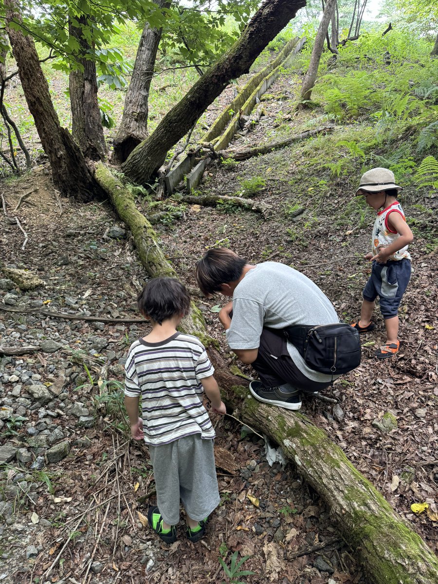 TAMURA721's tweet photo. 岐阜の山奥で昆虫採集🪲🐞
コカブトとデカすぎるシロスジカミキリ見つけた✨ https://t.co/bWRuKNmdvR