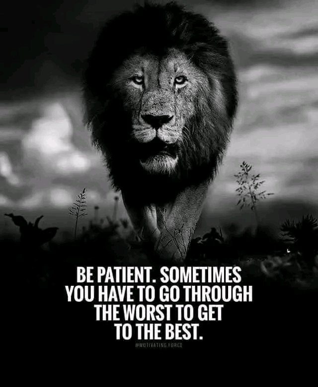 Adamquotes546's tweet photo. Good night 💙
@davido @wizkidayo @boniface_jrn @osimhentahmin #Motivations https://t.co/HYGn0JkE8N