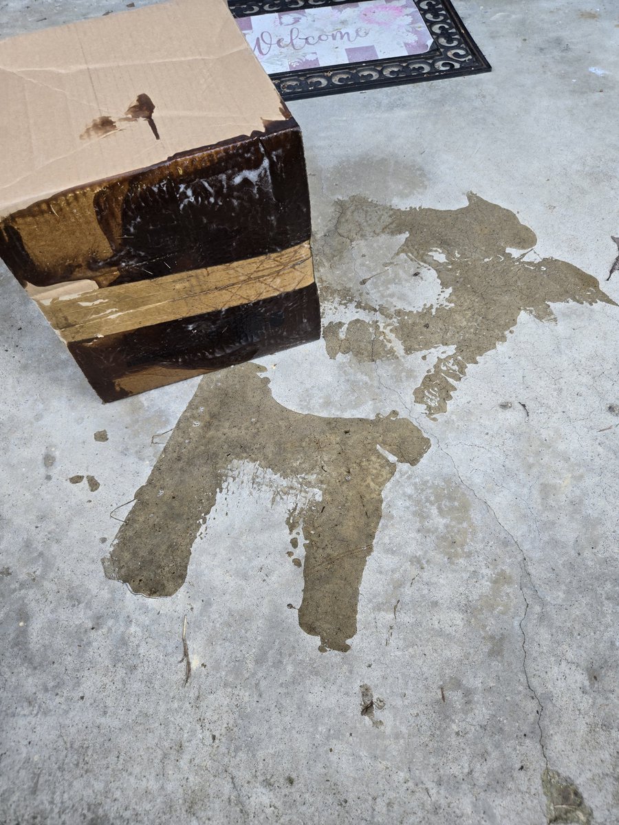 Seetherist's tweet photo. Not a more worthless company in the world than @FedEx. A viscous substance (maybe soap) completely coated the bottom of a package, so they decide to plop it on our porch so we can hose it off. Contents were OK, but it's shocking how bad they are at the east job they're paid to do https://t.co/fkQpmCf0AB