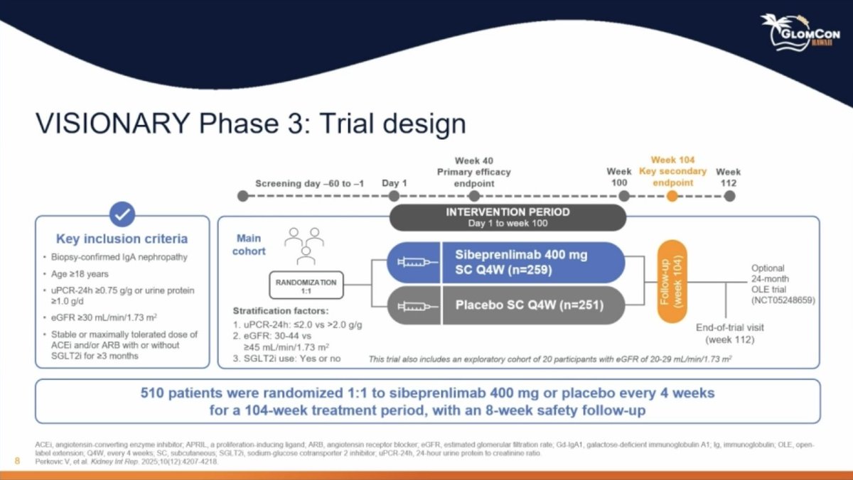 CristinaDeReins's tweet photo. 🧵 1/
From #GlomConHawaii LBCT 1st session: eGFR results at 24 months from VISIONARY trial by @DanaRizk1 

💡Main question: Does sibeprenlimab preserve kidney function in IgAN?

Reminder by @VladoPerkovic 
📍Sibeprenlimab inhibits APRIL, reducing pathogenic Gd-IgA1 production
📍VISIONARY was a ph 3 RCT, N=510; sibeprenlimab 400 mg SC vs placebo