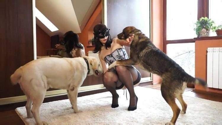 SexyLyssa01's tweet photo. DM for my explicit doggo 🐶🐾 content, let's have some fun guys 🐶 

https://t.co/roP93ho6lR

#zoophilia #bestiality #doglover #dogknotting #dogsex #knotty #dogpill #dog #puppy #dogwhore #dogwoman #transgender
#LGBTQ #dogwhore #artofzoo
#artofzoofirsttime #Oscars #taboo https://t.co/nzHa5TzUlV