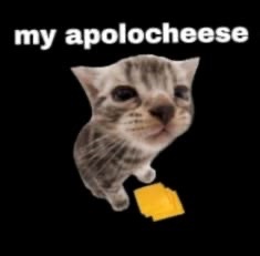 cutestuffokily's tweet photo. https://t.co/1NYPAgILBa